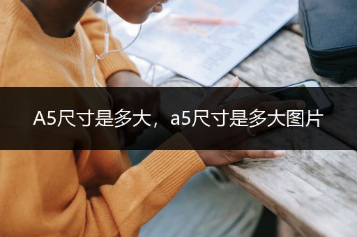 A5尺寸是多大，a5尺寸是多大图片